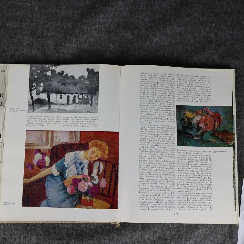 Vintage Pictura Românească În Imagini Drăguț Florea 1976 Romania Art Book HC DJ
